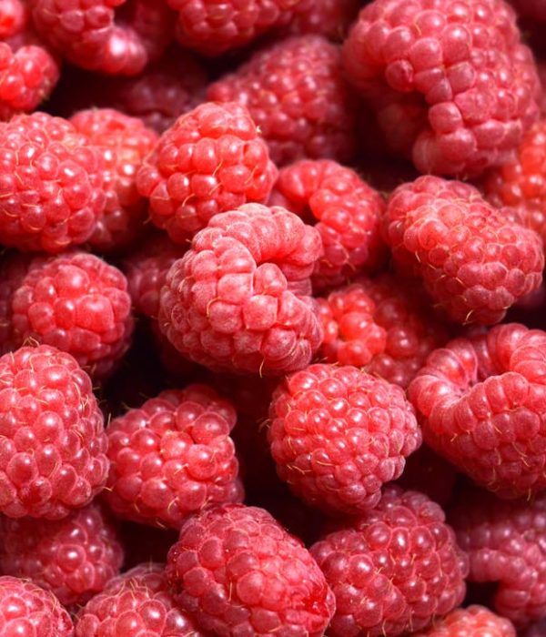 Frambozen smoothie maken