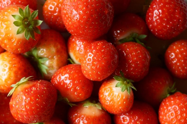 Gepureerde aardbeien invriezen