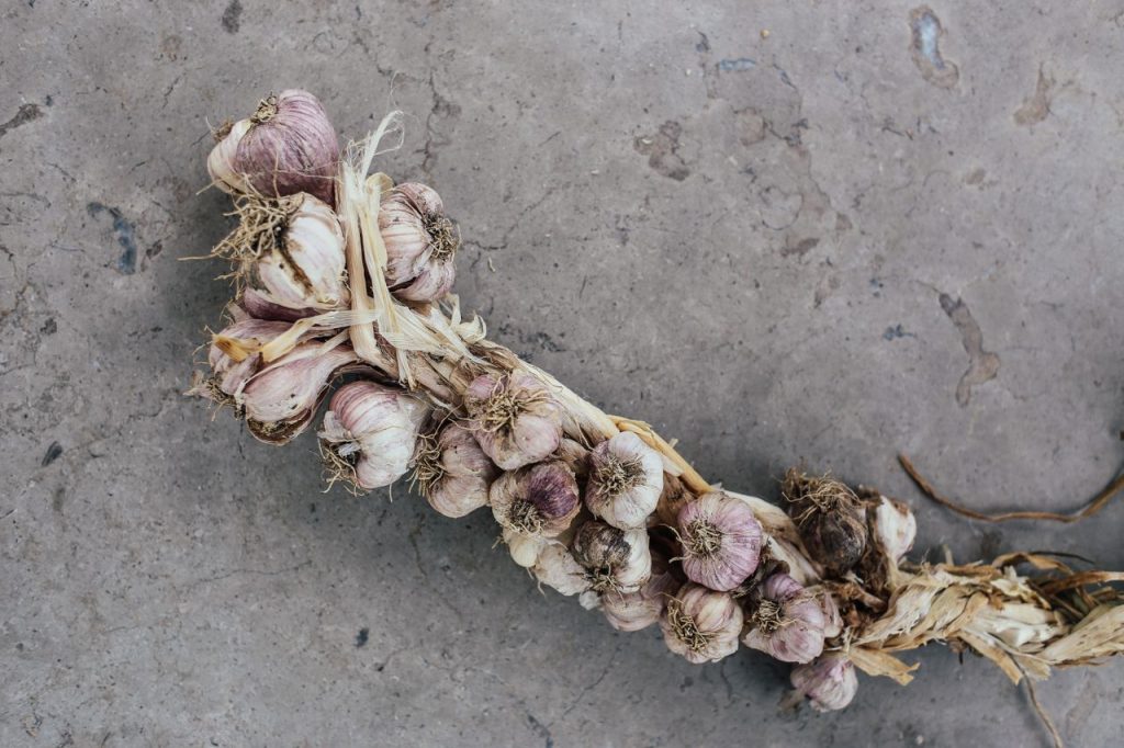 Knoflook vlechten en drogen