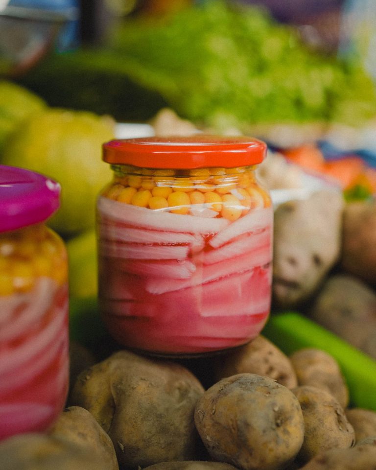 wat is gefermenteerd voedsel