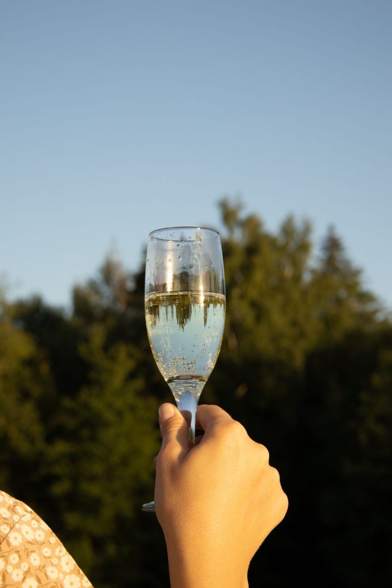 Vlierbloesem champagne maken