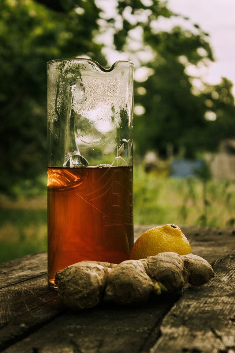 Gember kombucha maken