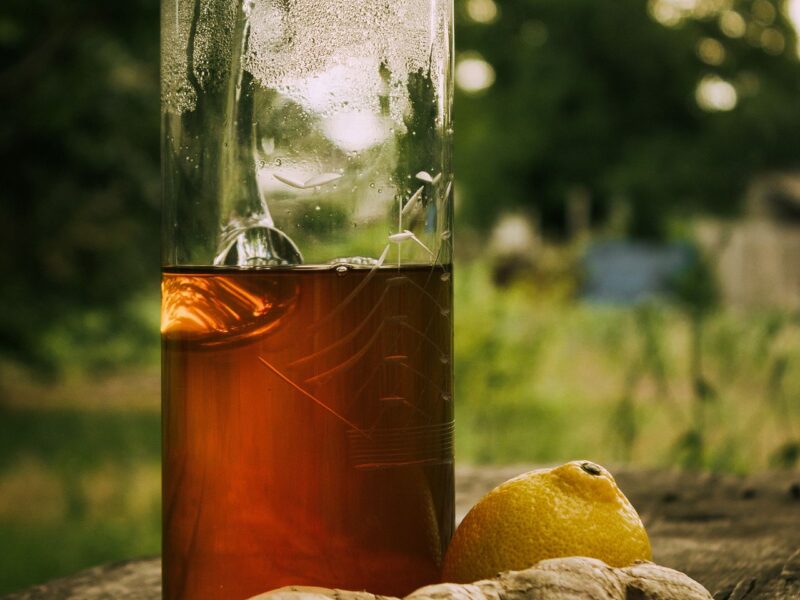 Gember kombucha maken