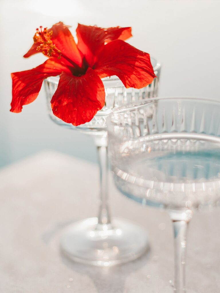 Hibiscus siroop zelf maken
