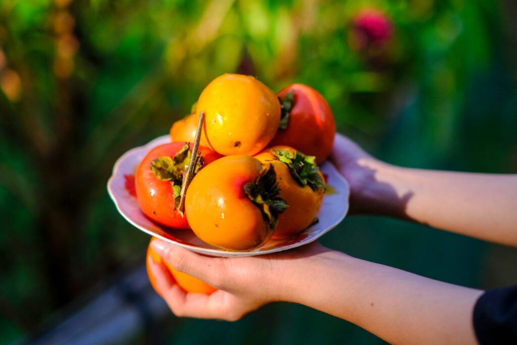 Kakimarmelade selber machen: Schälchen mit frischen Kakis
