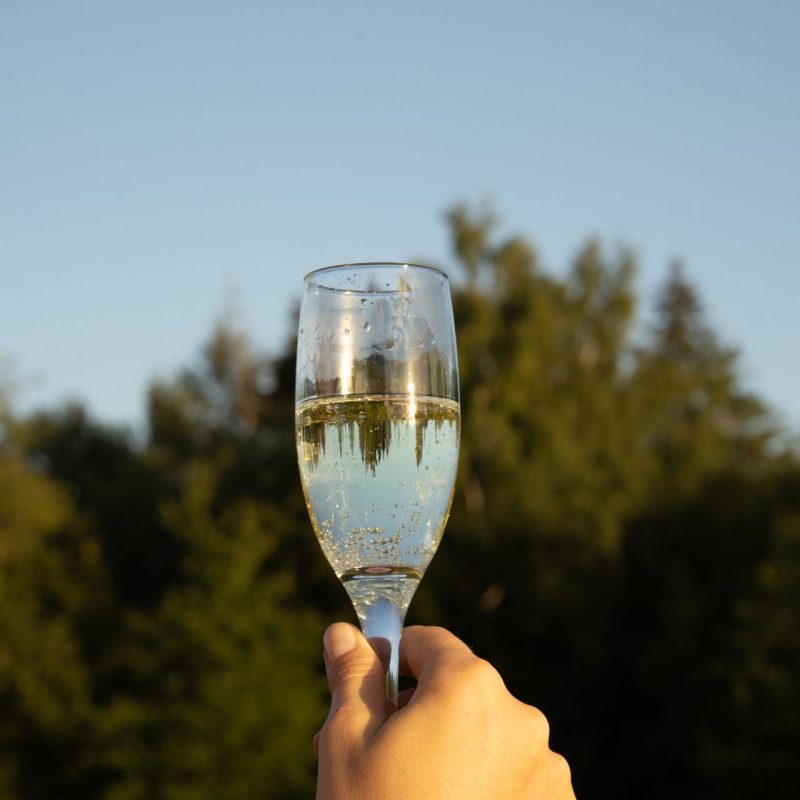 Vlierbloesem champagne maken
